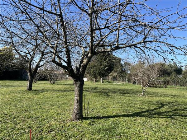 Terrain à vendre |  Cugnaux |  859 m²