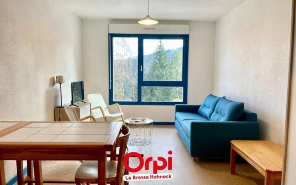 Appartement à vendre    1 pièce • 29,09 m2 Xonrupt-Longemer