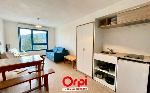 Appartement à vendre    1 pièce • 29,09 m2 Xonrupt-Longemer