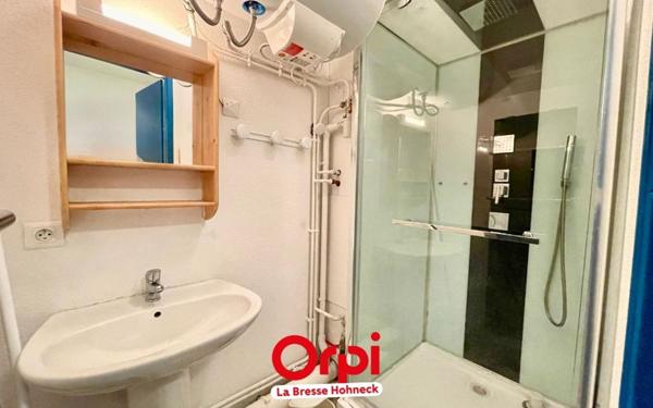 Appartement à vendre    1 pièce • 29,09 m2 Xonrupt-Longemer