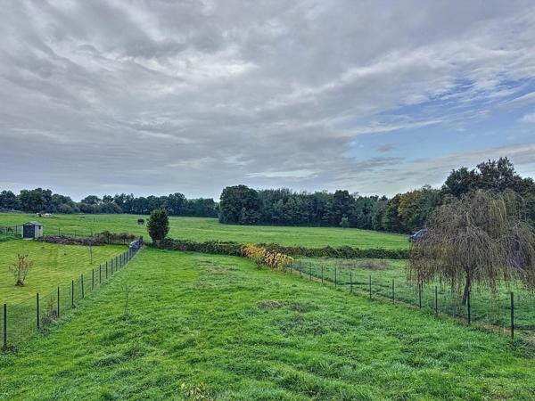 Maison en bois avec vue extraordinaire