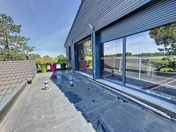 Maison en bois avec vue extraordinaire