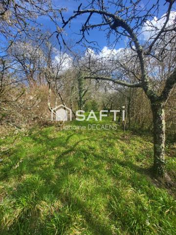 Terrain constructible de 1800m2 avec cave troglodyte