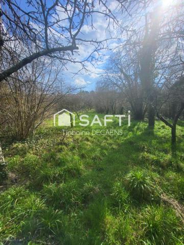 Terrain constructible de 1800m2 avec cave troglodyte