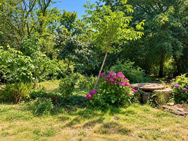 A VENDRE – Longère à rénover potentiel 250 m² sur 1400 m² de terrain à PLESCOP