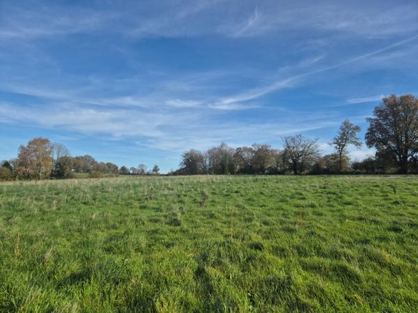Terrain à vendre ORSENNES (36)
