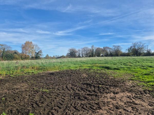 Terrain à vendre ORSENNES (36)
