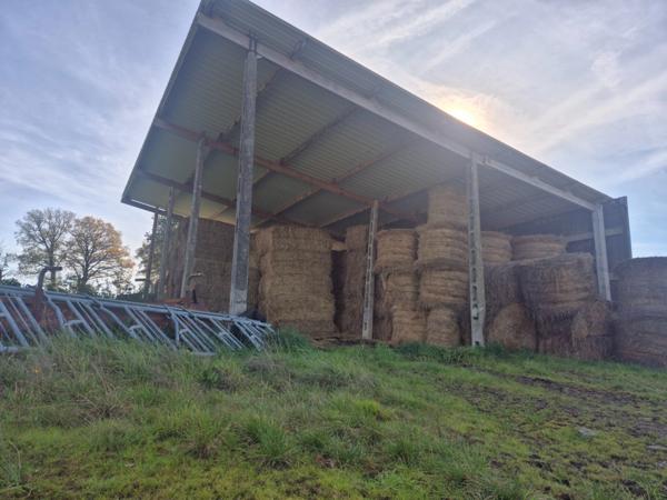 Terrain à vendre ORSENNES (36)