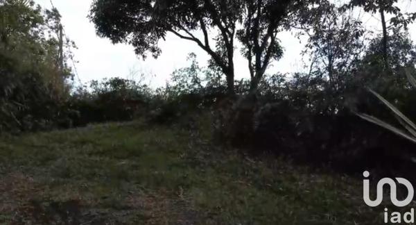 Terrain à vendre 3 400 m² Saint-Denis