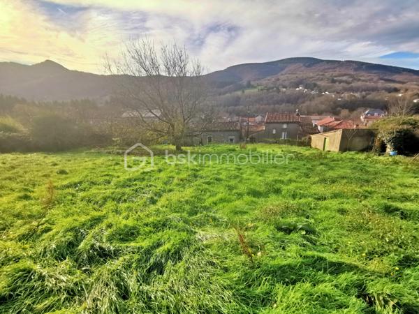 Lotissement de 1 233 m²