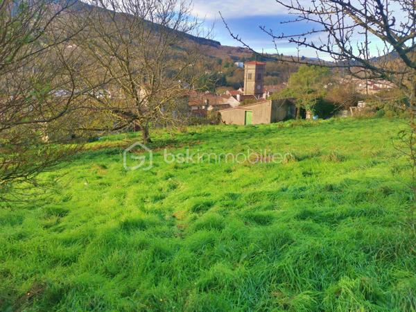 Lotissement de 1 233 m²