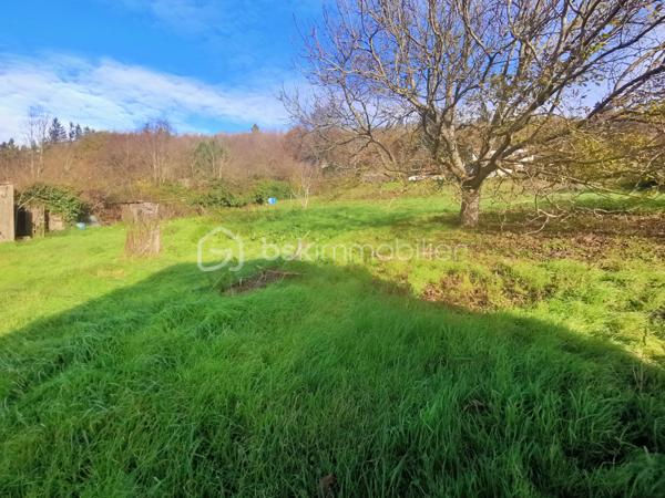 Lotissement de 1 233 m²