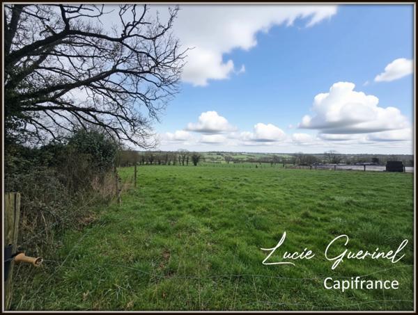 Maison en pierre de caractère – 140 m² – Sans vis-à-vis – 7 130 m² de terrain MARTIGNE FERCHAUD (35)