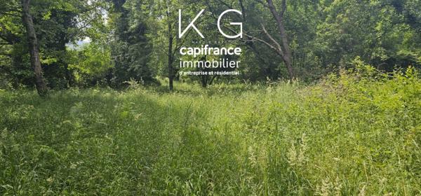 Haute-Corse (20), SANTA LUCIA DI MORIANI à vendre maison à rénover 4 chambres 80 m² terrain plat de 6 100 m2 pour maison familiale ou promotion