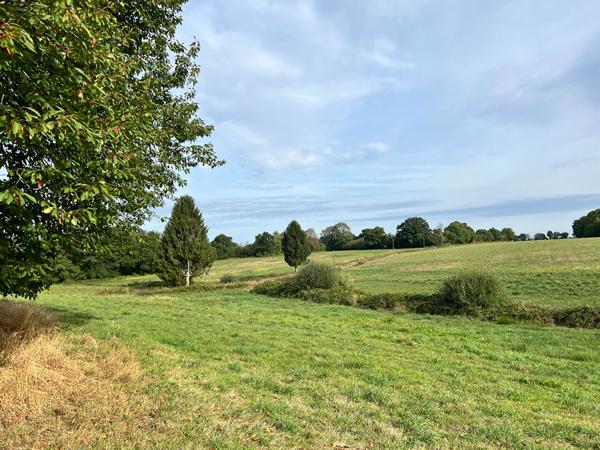20 hectares de terres agricoles et une fermette à rénover , Saint berthevin la tanniere