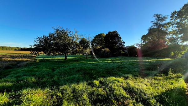 Terrain constructible à vendre " non viabilisé " à Ecoyeux de 3140m²