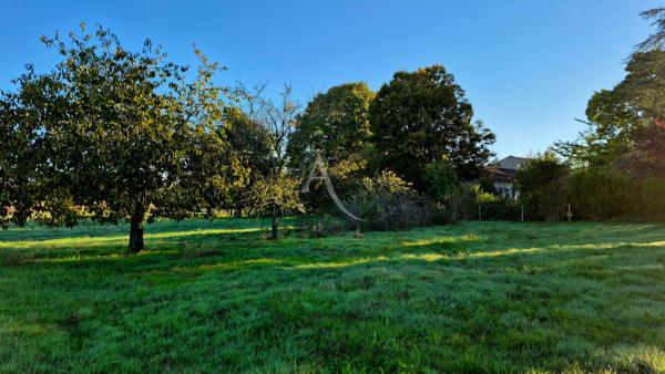 Terrain constructible à vendre " non viabilisé " à Ecoyeux de 3140m²