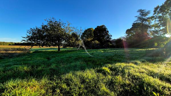 Terrain constructible à vendre " non viabilisé " à Ecoyeux de 3140m²