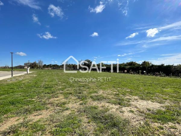 MAGNIFIQUE BAISSE DE PRIX