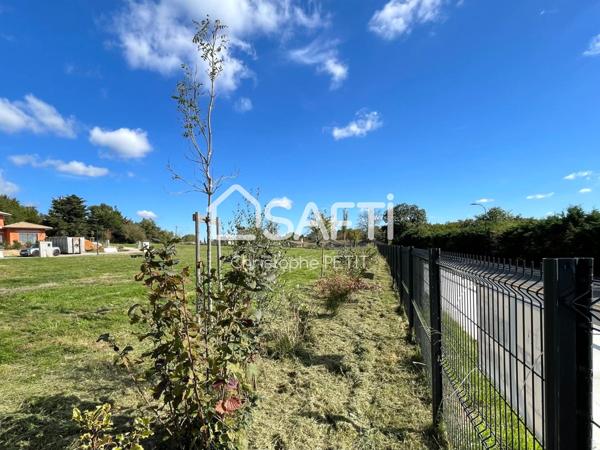 MAGNIFIQUE BAISSE DE PRIX