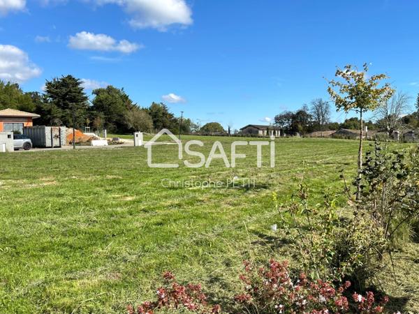 MAGNIFIQUE BAISSE DE PRIX