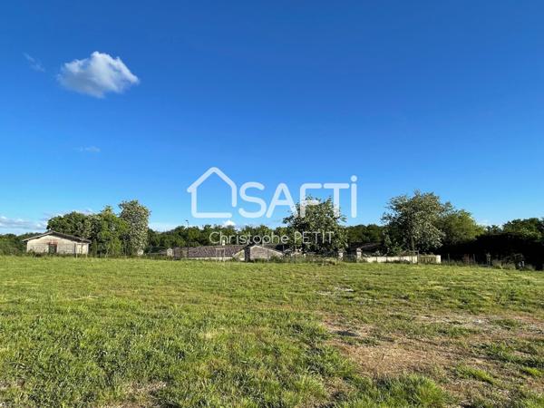 MAGNIFIQUE BAISSE DE PRIX