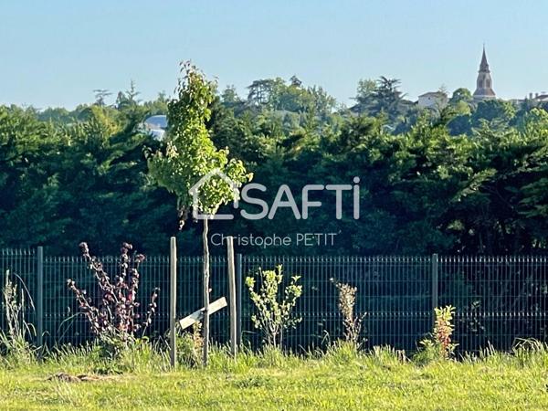 MAGNIFIQUE BAISSE DE PRIX