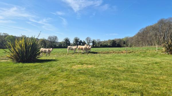 Briec (29510) Briec Proche Maison de 2001 de 90 m² sur 972 m²