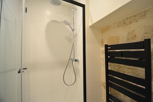 Appartement en souplex - pierres - terrasse