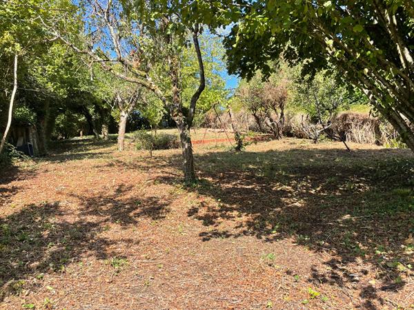 Maison - 95 m² - Montrichard Val De Cher