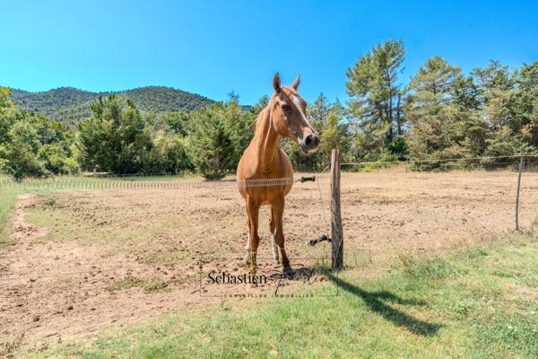 Maison à vendre à SIGNES (83) - Parcelle de plus d'un hectare - Piscine - Nombreuses annexes et dépendances - Calme absolu - Ensoleillée