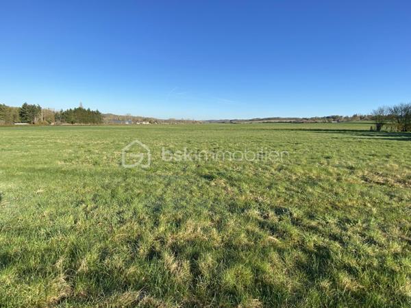 Venez découvrir ce grand terrain à bâtir de 563 m² situé aux abords de Charny Orée de Puisaye, Aux portes de la Bourgogne. Niché dans un environnement paisible, il offre un cadre de vie serein, idéal pour ceux en quête de tranquillité, tout en bénéficiant d’une proximité avec les commodités.

Ce terrain vous ouvre de multiples possibilités de construction, vous permettant de concevoir la maison de vos rêves. Imaginez un espace de vie harmonieux, où chaque pièce pourrait être baignée de lumière naturelle dans un cadre intime
À quelques minutes des commerces et des services, profitez d’un accès facilité pour toutes vos activités quotidiennes, sans compromettre le calme qui règne ici. Venez découvrir ce lieu où projeter vos futurs rêves d'habitat. 

Contactez Jean-Philippe Mary pour plus d'informations. Votre future vie sereine vous attend à Charny .