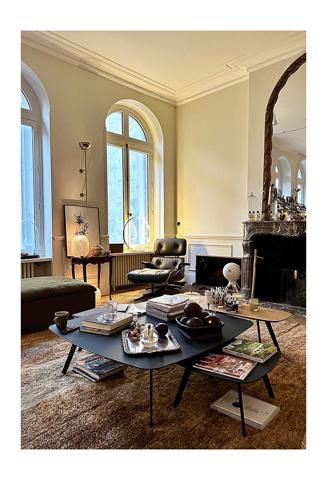 Bordeaux centre, Quinconces, dans Hôtel Particulier, superbe appartement bourgeois de 260 m2, avec jardin et piscine