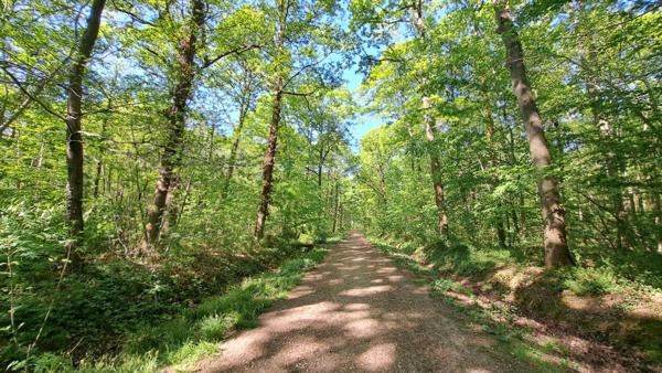 Maison Bois-d'Arcy Quartier Hoche Foret 5 chambres 190m²