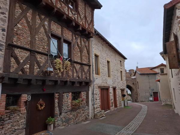 Maison coup de cœur avec piscine - 5 Suites - 445 m² - Villerest (42300) – 690 000 euros