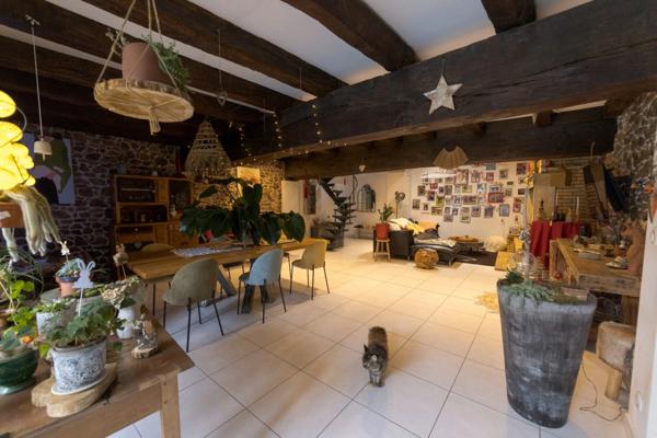 Maison coup de cœur avec piscine - 5 Suites - 445 m² - Villerest (42300) – 690 000 euros