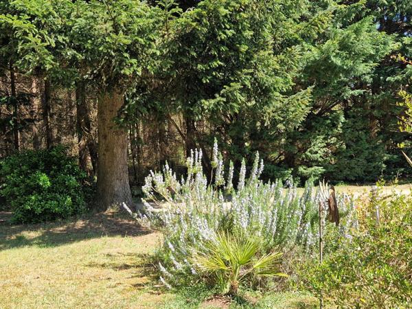 Maison de campagne sur sous-sol 4 chambres grand terrain de plus de 8000 m2avec puits