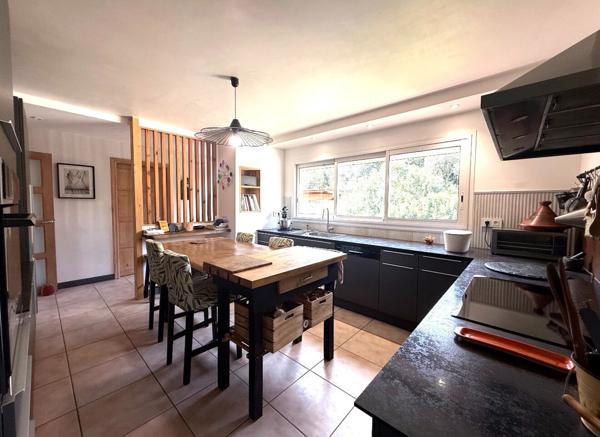 ARLES SUR TECH : Villa d'exception avec vue sur le massif du Canigou !