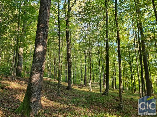 Terrain Saint Girons 1180000 m2, Saint girons 09200