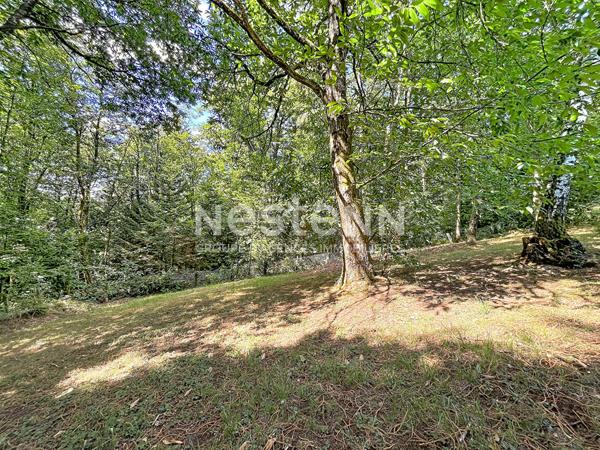 Maison familiale 4 chambres avec terrain clos arboré de 3 017 m² - FAVARS