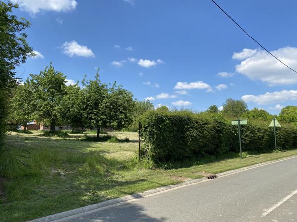 Vente TerrainOEUF EN TERNOIS (62130)