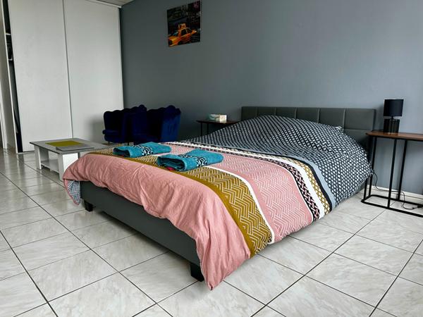 NANCY - HYPER CENTRE - APPARTEMENT - STUDIO - PARKING