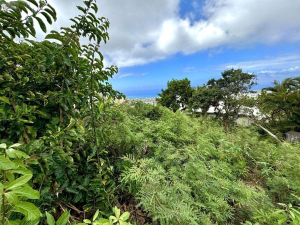 Terrain à Batir à vendre à Saint-Denis à la Réunion (97400), ref : 97424/122   
BOIS DE NEFLES ST CLOTILDE