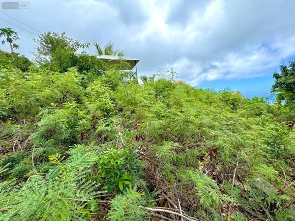 Terrain à Batir à vendre à Saint-Denis à la Réunion (97400), ref : 97424/122   
BOIS DE NEFLES ST CLOTILDE