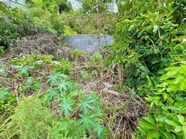 Terrain à Batir à vendre à Saint-Denis à la Réunion (97400), ref : 97424/122   
BOIS DE NEFLES ST CLOTILDE