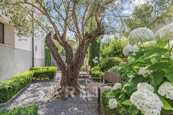 Saint-Tropez -  300m de la Place des Lices