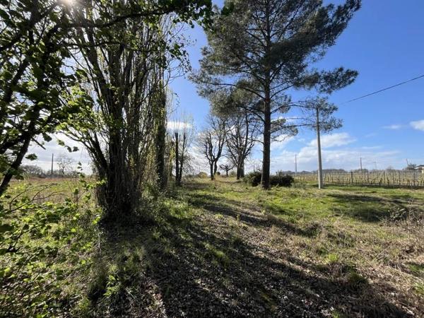 Maison à vendre |                                       Castillon-la-Bataille |                                        3 pièces  |  85 m²