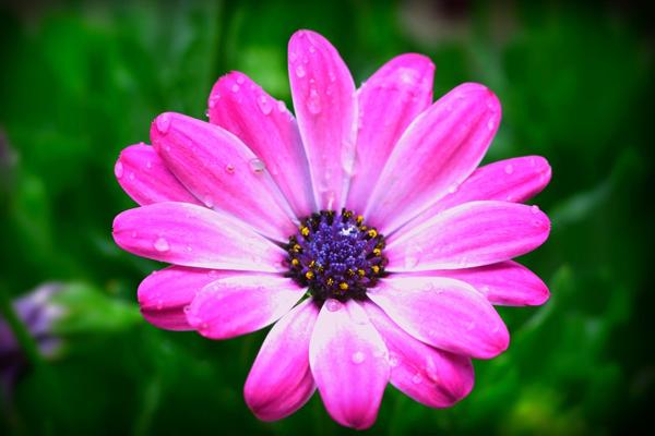 Maison Saint Paul Les Dax 5 pièce(s) 104 m2