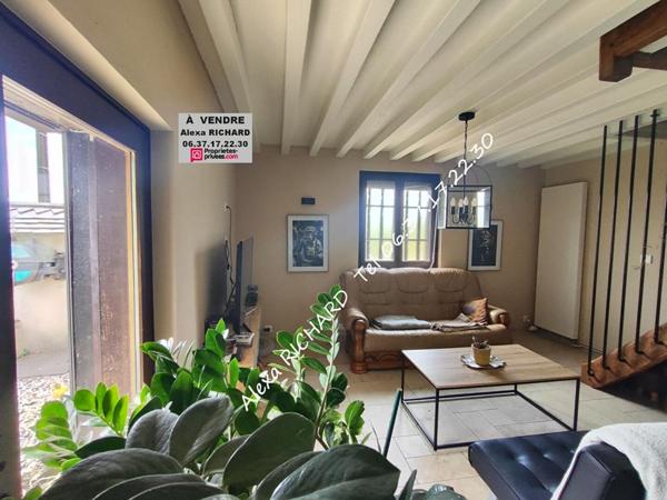 Maison  à vendre de 11 pièces 8 chambres  218 m2 avec piscine ensemble immobilier