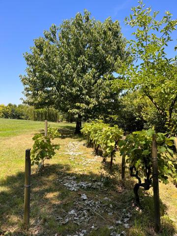 Mauvezin (32120) Maison Individuelle T6 – 130 m² – Jardin – Proche Mauvezin (Gers)